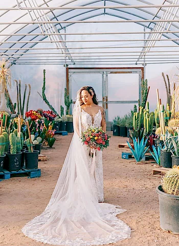 DesertLove4